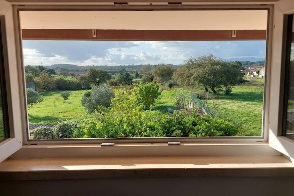 Appartamento Casa Alegria - The Orangery Tomar Esterno foto
