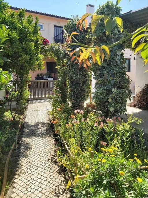 Appartamento Casa Alegria - The Orangery Tomar Esterno foto